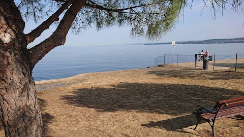 Spiaggia per cani