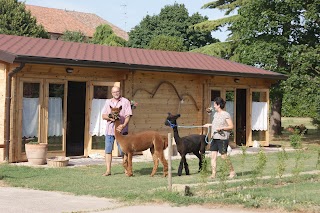 Agricampeggio - Fattoria Didattica Pane e Bellezza