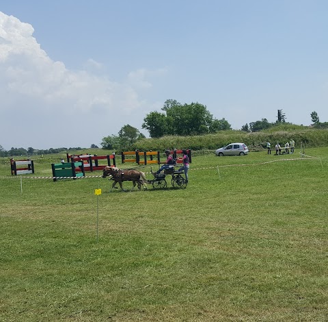 Centro Sportivo Equestre Associazione Sportiva Dilettantistica