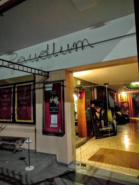 Cinema Gaudium