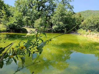 Agriturismo Caccialupi - Piscina Naturale Privat