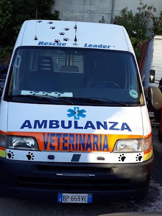 Ambulatorio Veterinario Labaro