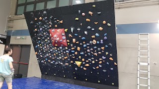 GAM Climbing