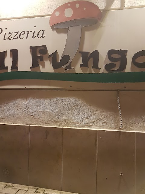 Pizzeria Il Fungo Di Spina Massimiliano