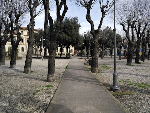 Istituto Comprensivo "Gino Strada"