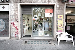 Photo Art & Techs Roma