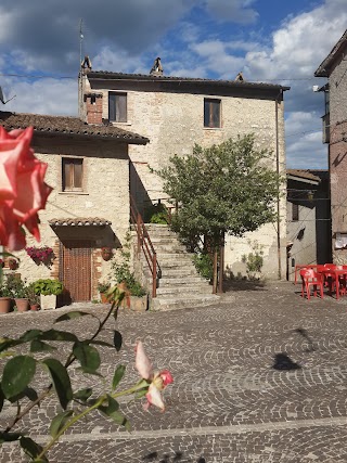 Università Agraria di Colle di Tora