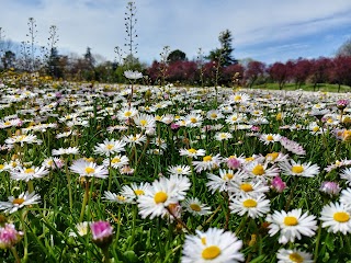 Parco di Villa Maccaferri