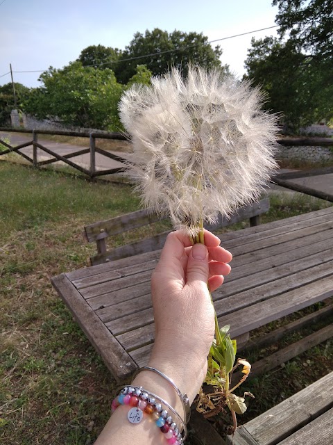 Area Pic-Nic - Carbottiello