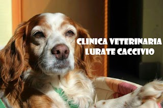 Clinica Veterinaria Lurate Caccivio