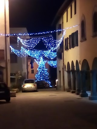 Bottega Della Salute Di Geni Tomarelli E C.Sas