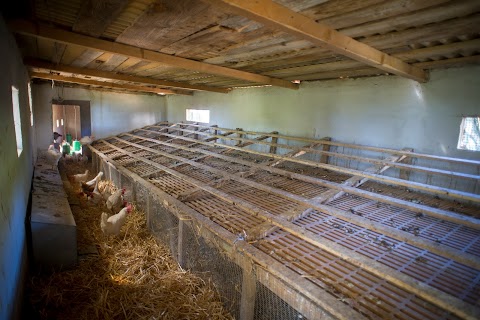 Azienda Agricola Galline Felici