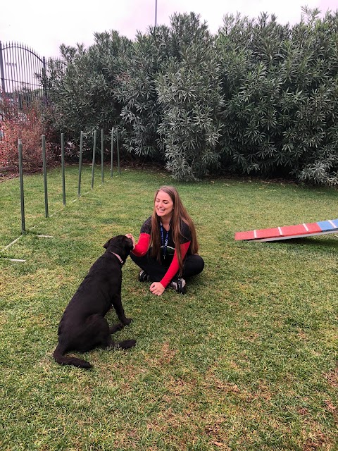 Scuola Cinofila Francesca Melchiorre centro Cinofilo Asilo cani