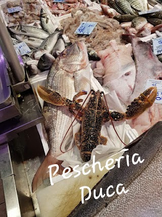 Pescheria Duca FVM