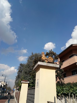 Istituto Di Bellezza Luciano Cupone