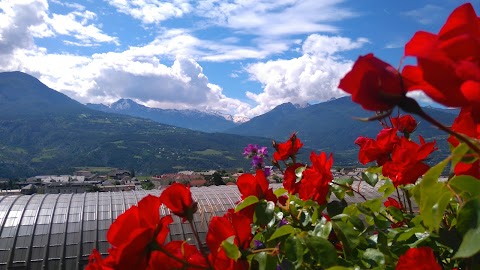 College Les Ecrins