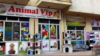 animal vip Racalmuto