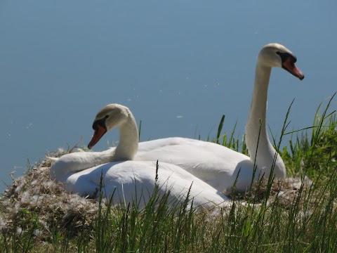 Agriturismo Ca' Marcello