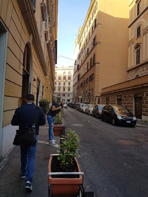 Ceramikada Di Marchesini e Tirone Sas