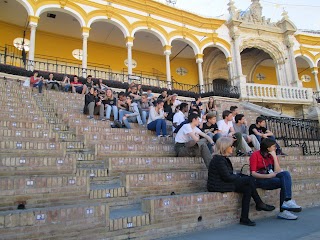 Liceo Scientifico Paritario "G. Carducci"