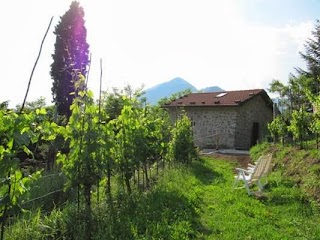 Agriturismo Fanny/Azienda agricola