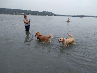 Accesso Spiaggia Cani