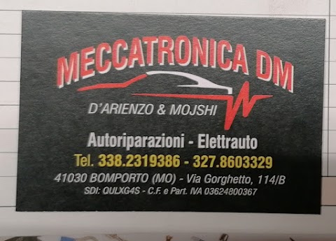 MECCATRONICA DM