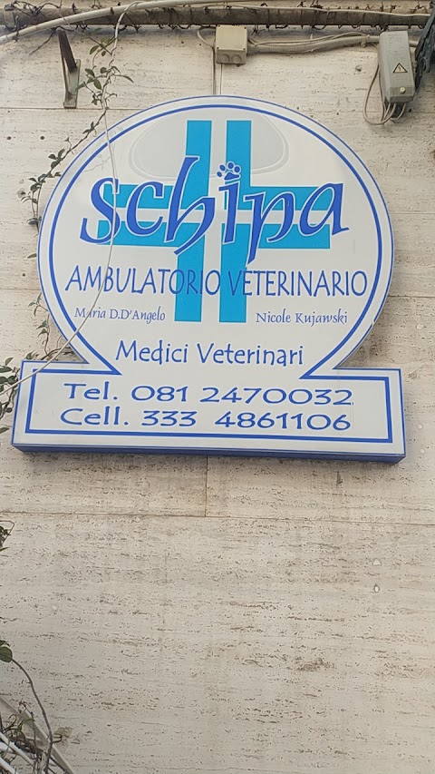 Ambulatorio Veterinario Associato Chiaia Dei Dr. Molinari E D' Angelo