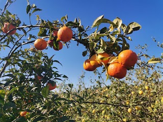 Agriturismo Case Ragona