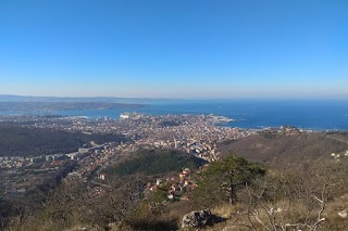 Lubos Dzuro Guida Turistica Trieste