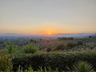 Agriturismo Podere Rondinaio