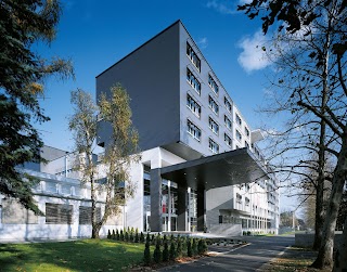 Faculty of Social Sciences - University of Ljubljana