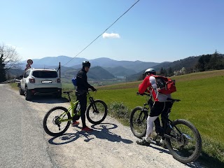 ASD Blob Service - Umbria in Mountain Bike