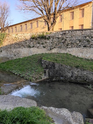 Scuola Elementare "Da Feltre"