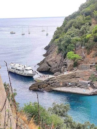 Battelli Turistici • Cruise Terminal