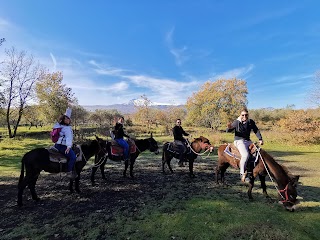 Etna Donkey Trekking