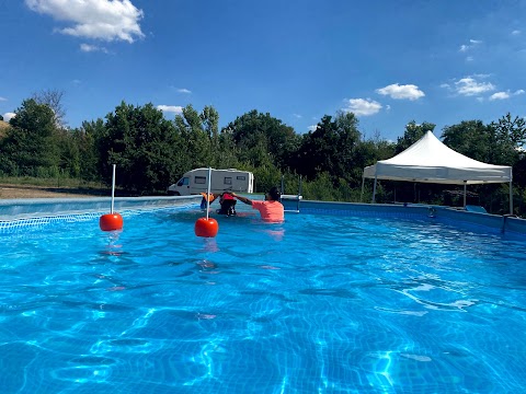 Piscina per cani Felicia