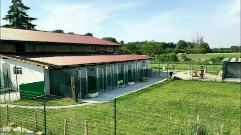 Il Vecchio Ranch