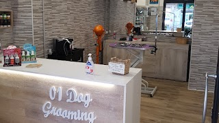 Toeletta 01DOG Grooming Roma di Gianluca Mazzei