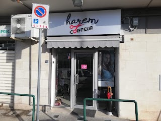 Harem coiffeur di Luigi Esposito