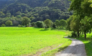 Trattoria Il Toscano