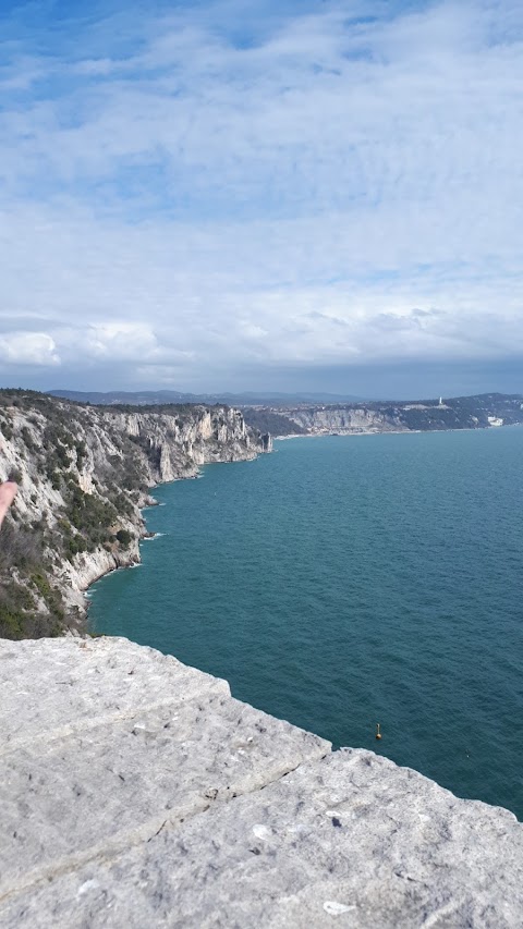 Collegio del Mondo Unito dell'Adriatico ONLUS