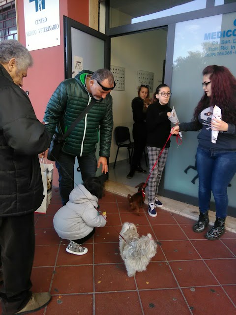 Centro Medico Veterinario Gargano Dr. Vincenzo