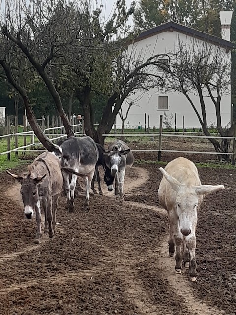 Agriturismo Porcaloca