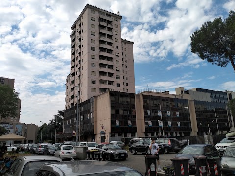 Istituto Paritario Alfred Nobel