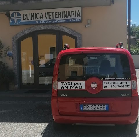 Il Taxi per Animali