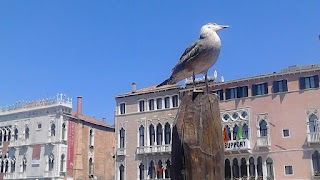 B&BGiudecca Bella