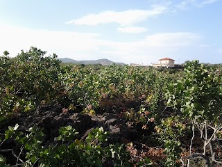 la valle del pistacchio