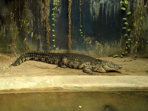 Lo Zoo di Napoli