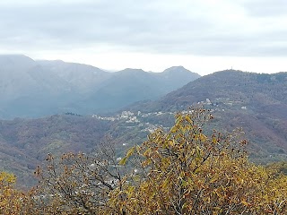 Pilone Del Merlo